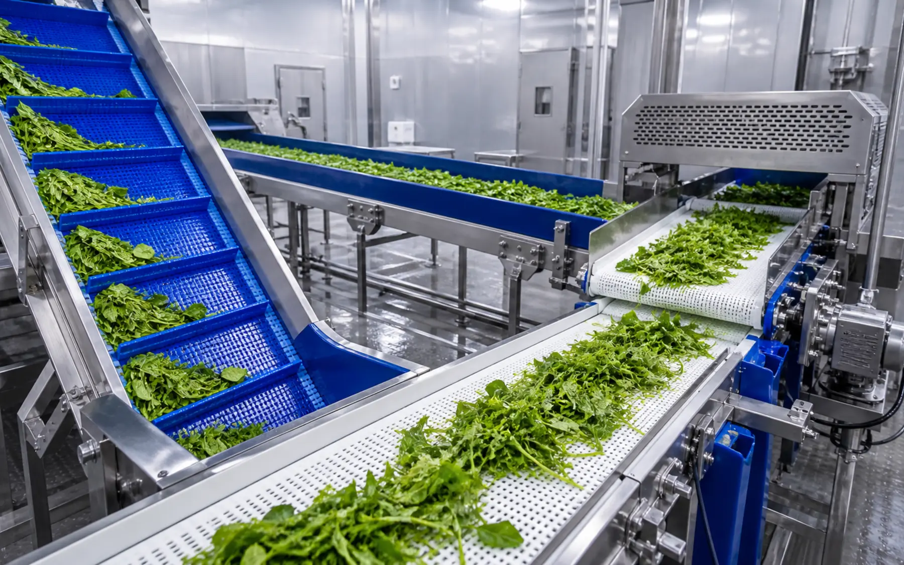 FELTNOVA Food Processing Conveyor Solutions