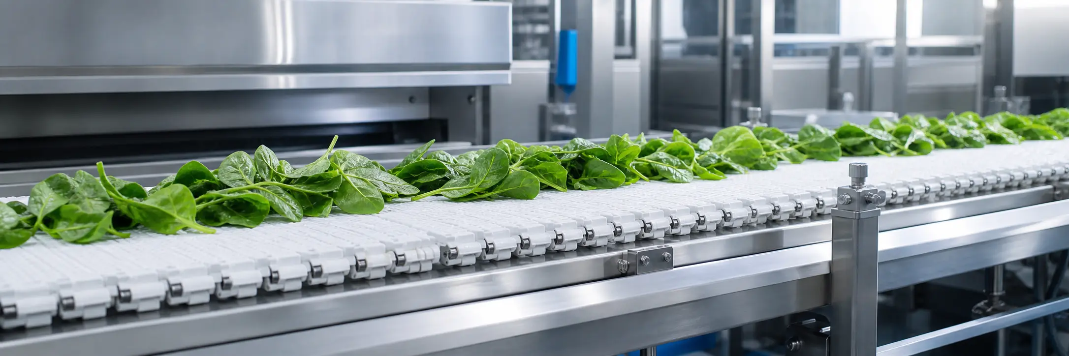FELTNOVA Plastic Modular Belt Food Processing Hero