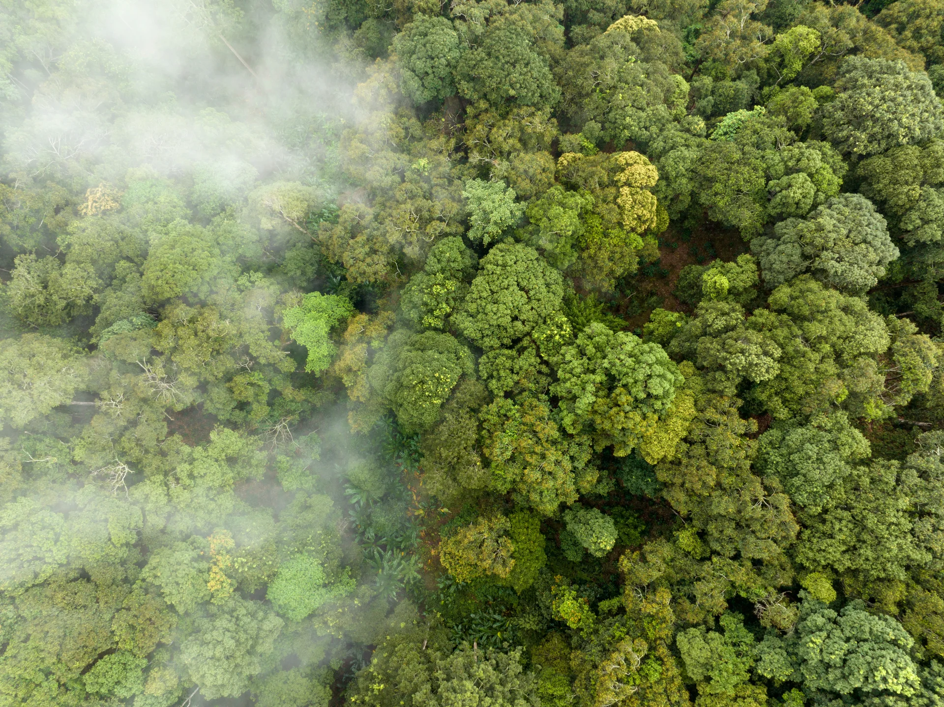 Environmental Report 2024: Advancing sustainability