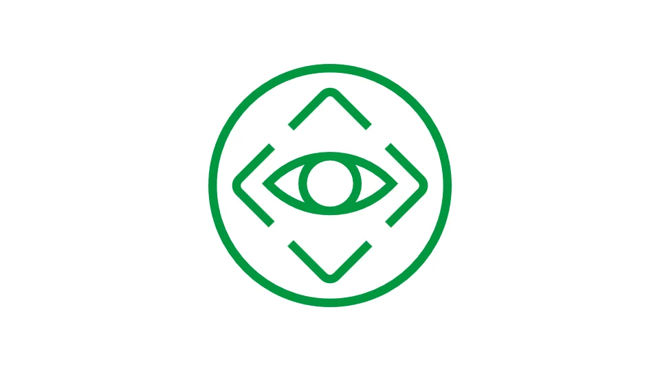 Optical sorting and inspection