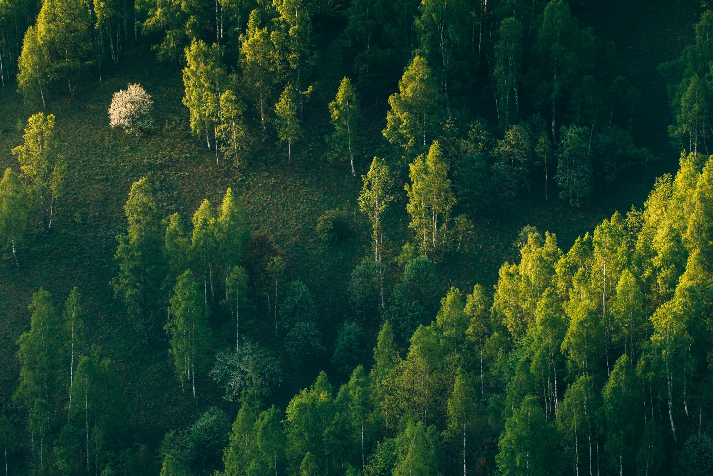 Sustainability. Environmental report